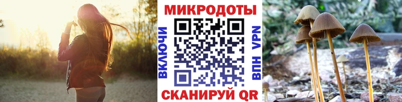ссылка на мегу онион  Хвалынск  Псилоцибиновые грибы Magic Shrooms 